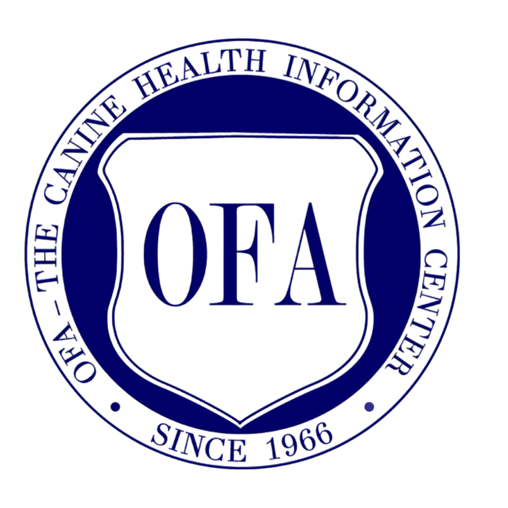 OFA health tested Labradoodle