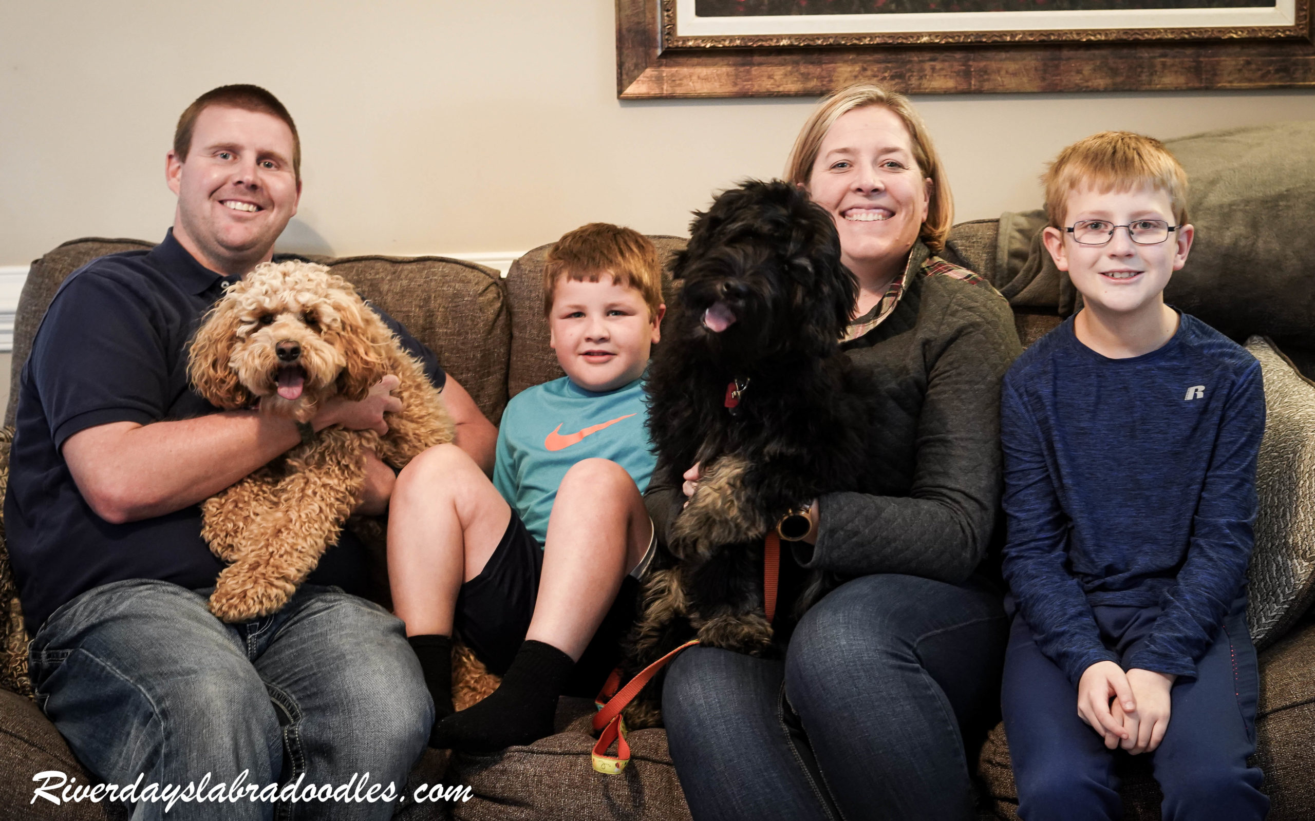 Host Family Program - River Days Australian Labradoodles