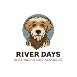 River Days Australian Labradoodles