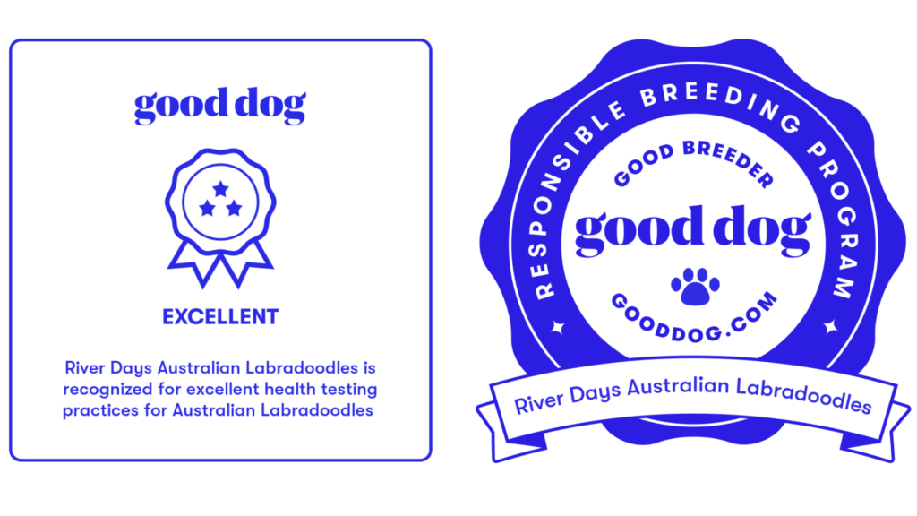 GoodDog Excellent rating and member of the breeding program for Australian Labradoodle puppies