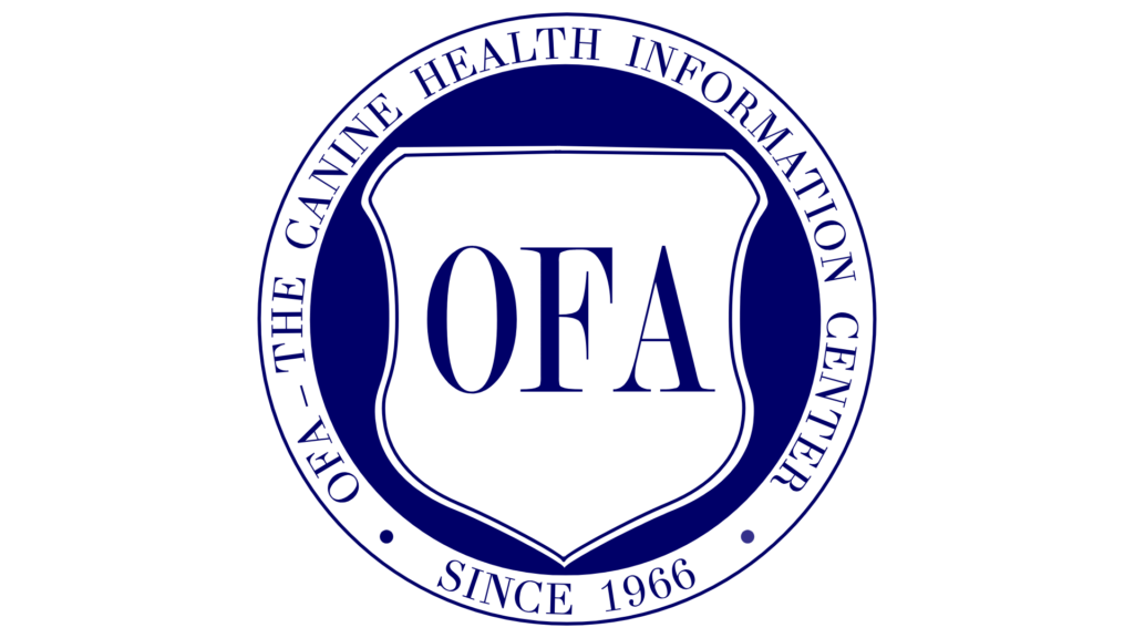 OFA Hip & elbow testing ensures every parent Australian Labradoodle has good health