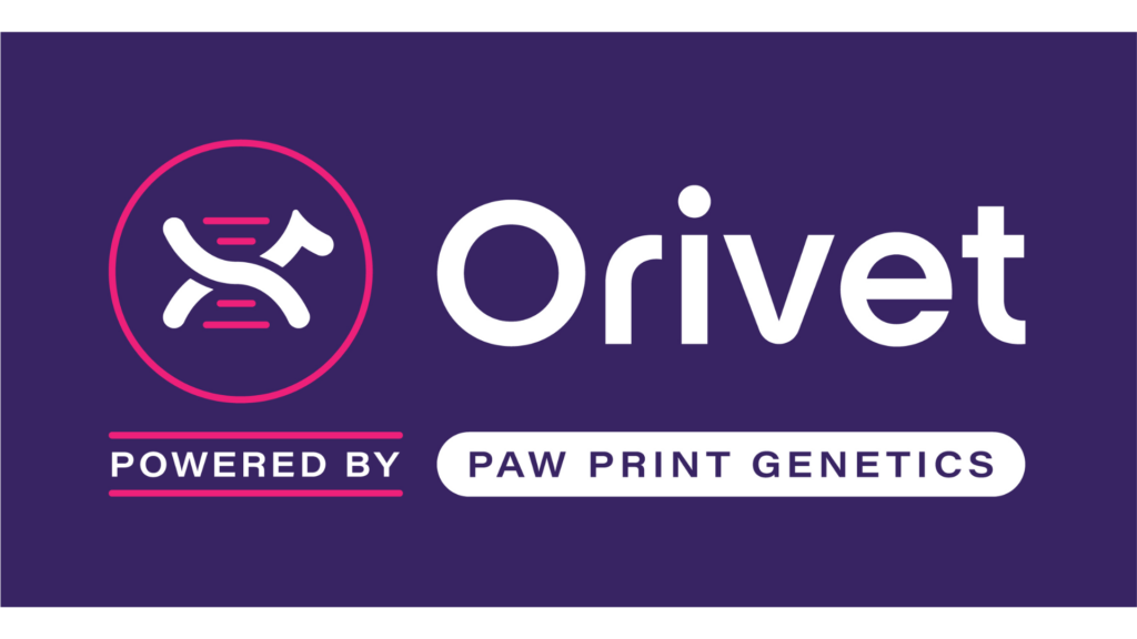 Paw Print Genetics, now Orivet, tests our parent Australian Labradoodles to help make breeding decisions. 