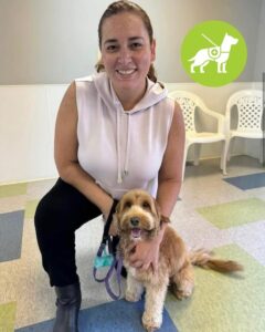 Australian Labradoodle from our program, now a certified therapy dog working in approved therapy settings.
