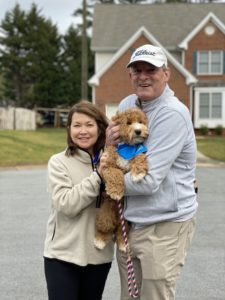 River Days Australian Labradoodle graduate of Advanced Puppy Program excelling in obedience and social skills.