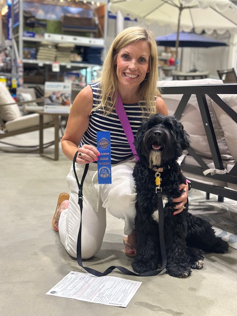 Certified AKC Canine Good Citizen Australian Labradoodle demonstrating calm temperament and obedience in public setting.