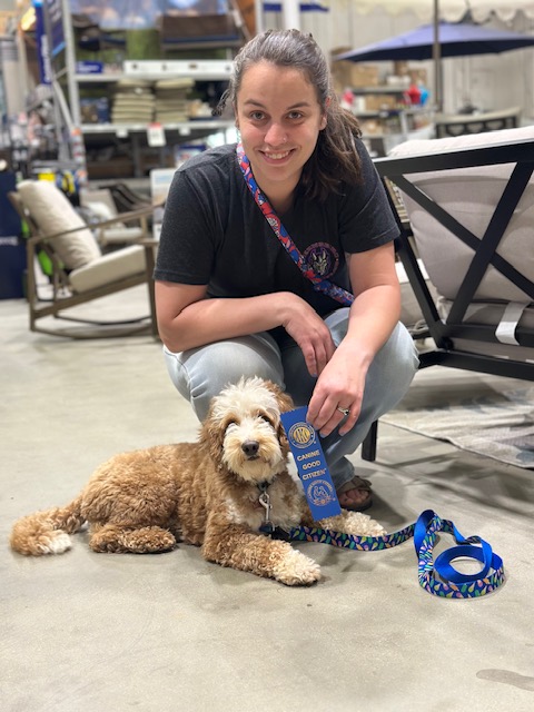 Australian Labradoodle from River Days program proudly holding AKC Canine Good Citizen certification after passing evaluation.
