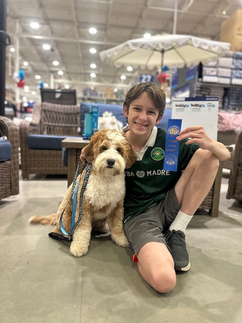 Certified therapy dog trained and evaluated through an approved program